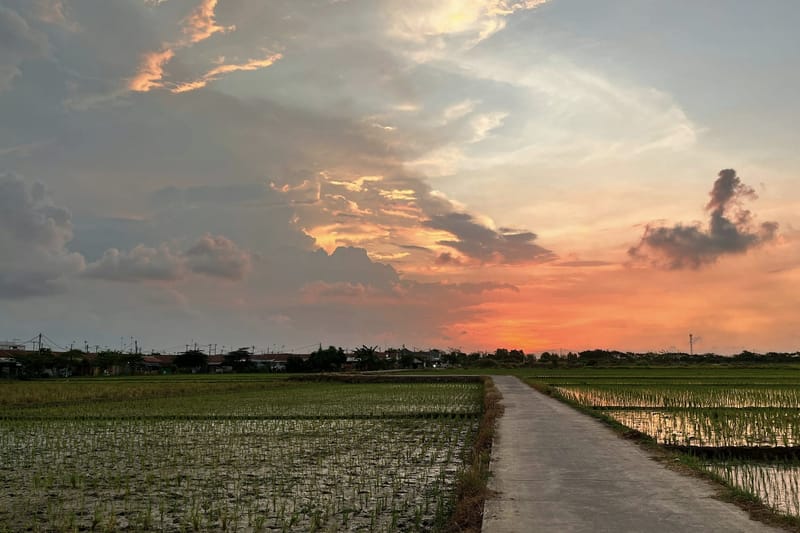 Sawah dengan jalan setapak saat matahari terbenam.